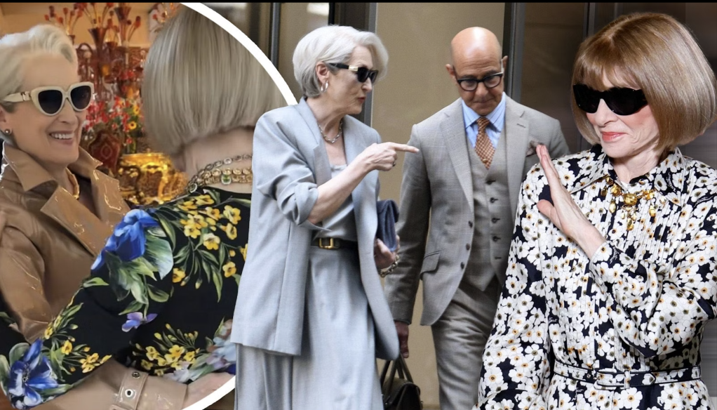 Meryl Streep Stuns as Miranda Priestly at Dolce & Gabbana Show 