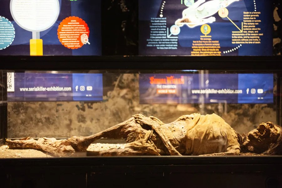 “Serial Killer: The Exhibition” shows that true crime is here to stay